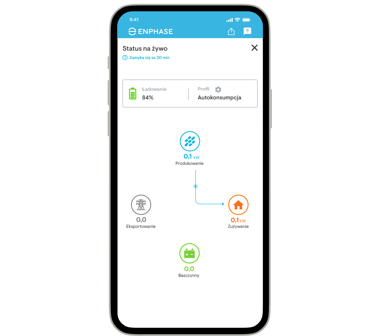 EnphaseApp_Live-status_IT_04