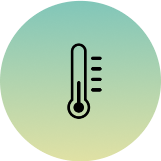 Temperature icon