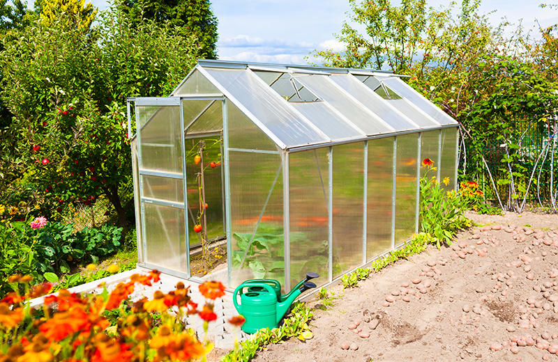 Greenhouse Garden