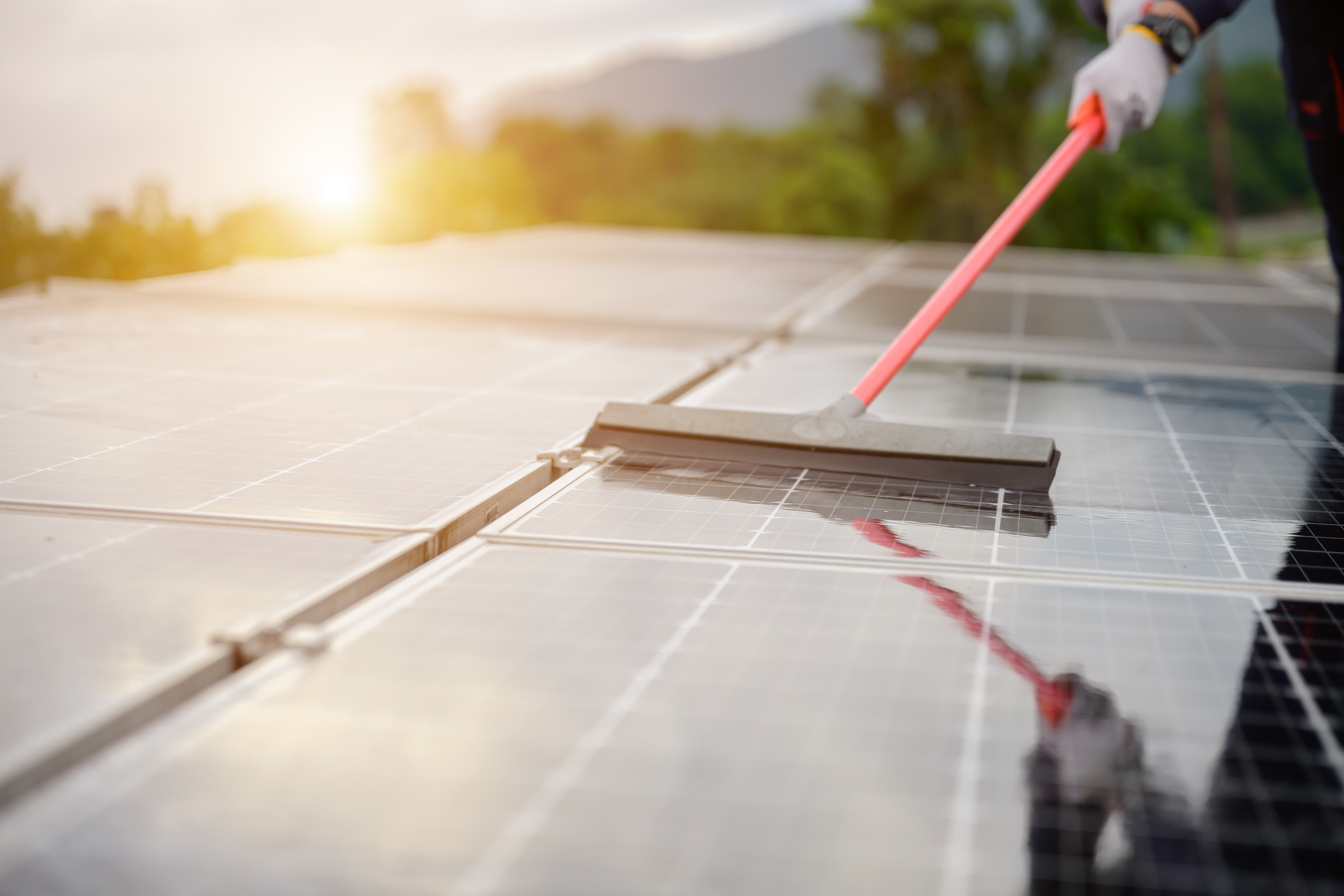 cleaning the solar panels