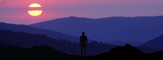 purpose and values