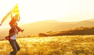 20 Million Microinverter