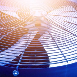 Electric fan motor