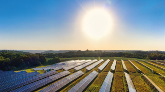 Numerous solar panels in open field 