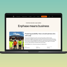 project case studies 