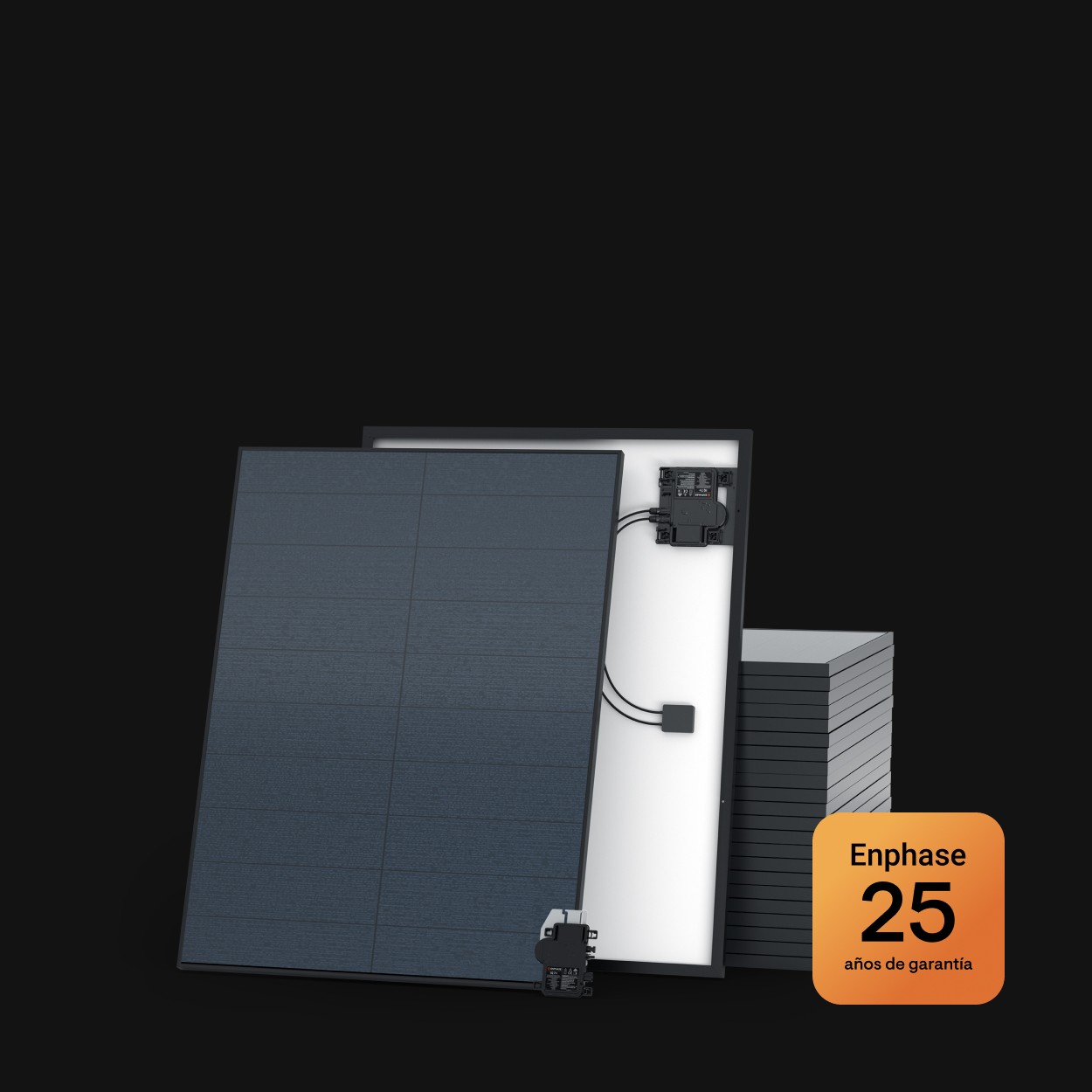 Warranty